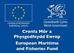 European Maritime and Fisheries Fund