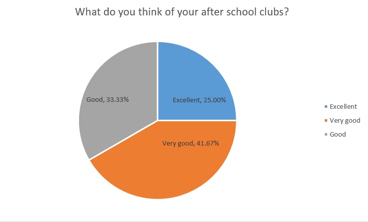 What do you think of your after school club