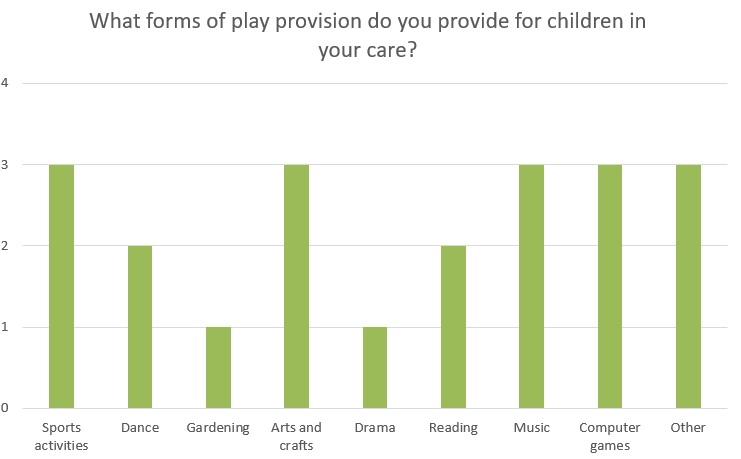 What forms of play provision do you provide for children in your care?